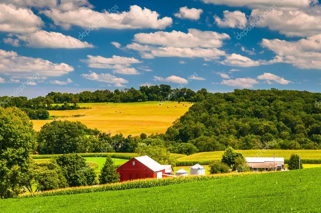 Rolling hills or rural farmland with a mountain backdrop near Limestone, TN.
